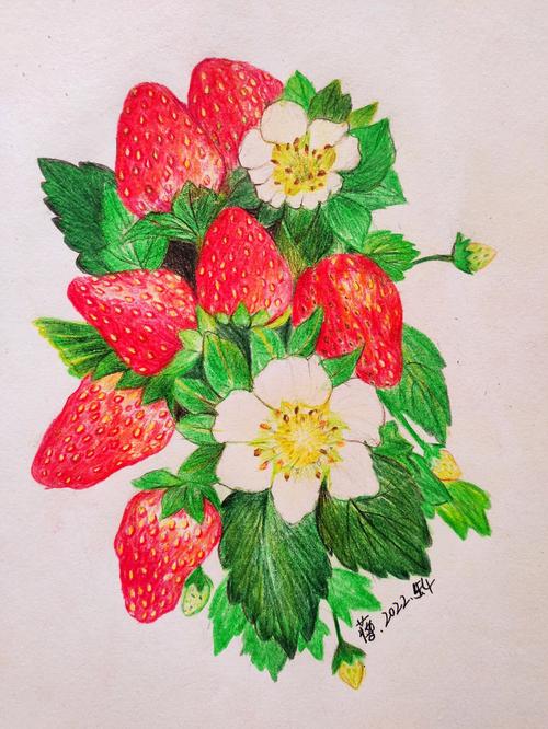 草莓手绘画 草莓手绘图