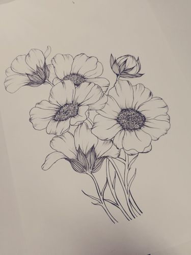 花卉手绘画 花卉手绘大全